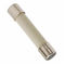 5*20 Time Lag Ceramic Cartridge Fuse For Supplementary Protection RoHS Compliant